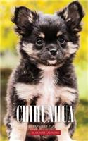 Chihuahua Pocket Monthly Planner 2017: 16 Month Calendar