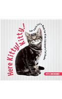 Here Kitty! Kitty! Fun Facts Cats Book for Kids Children's Cat Books
