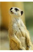 Meerkat Standing Tall Journal: Take Notes, Write Down Memories in this 150 Page Lined Journal