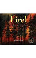 Fire!: The Renewal of a Forest(Information Storybooks)