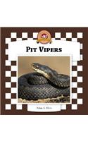 Pit Vipers