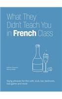 What They Didn't Teach You in French Class: Slang Phrases for the Cafe, Club, Bar, Bedroom, Ball Game and More