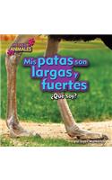 MIS Patas Son Largas Y Fuertes (My Legs Are Long and Strong)