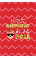 Coolest Reindeer At The Pole