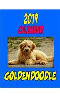 2019 Calendar Golden Doodle: Dog weekly calendar, personal contacts list, password log, notes and to do list.