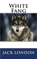 White Fang