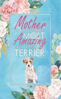 Mother of the World's Most Amazing Jack Russell Terrier