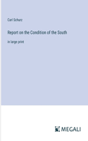 Report on the Condition of the South