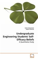 Undergraduate Engineering Students' Self-Efficacy Beliefs