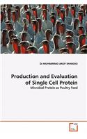 Production and Evaluation of Single Cell Protein