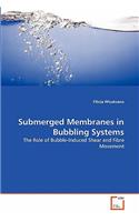 Submerged Membranes in Bubbling Systems: (English)