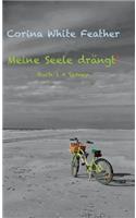 Meine Seele drängt!