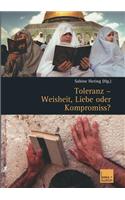 Toleranz — Weisheit, Liebe oder Kompromiss?: Multikulturelle Diskurse und Orte(German)