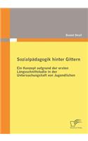 Sozialpädagogik hinter Gittern: Ein Konzept aufgrund der ersten Längsschnittstudie in der Untersuchungshaft von Jugendlichen