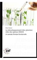 Le Développement Des Plantes: Rôle Des Gènes Knox