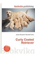 Curly Coated Retriever: (English)