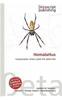 Homalattus