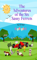 The Adventures of the Six Sassy Ferrets