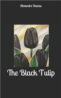 The Black Tulip