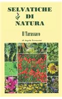 SELVATICHE DI NATURA - Il Tarassaco