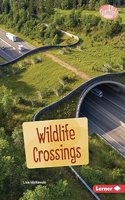 Wildlife Crossings