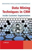 Data Mining Techniques in CRM: Inside Customer Segmentation