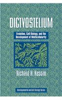 Dictyostelium
