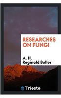 RESEARCHES ON FUNGI