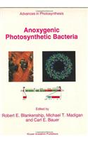 Anoxygenic Photosynthetic Bacteria