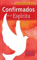 Confirmed in the Spirit 2014 Young People's Book Bilingual