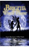 Brigitta of the White Forest (Faerie Tales from the White Forest Book One)