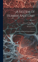 System of Human Anatomy