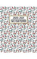 2020 - 2021 Two Year Planner: Beautiful Floral Flower Vines Daily Weekly Monthly 2020 - 2021 Planner Organizer. Nifty Two Year Motivational Agenda Schedule with Vision Board, Hab