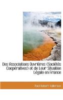 Des Associations Ouvri Res (Soci T?'s COOP Ratives) Et de Leur Situation L Gale En France: (English)
