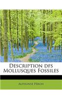 Description Dfs Mollusques Fossiles