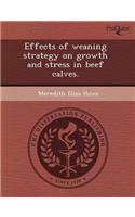 Effects of Weaning Strategy on Growth and Stress in Beef Calves