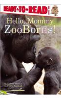 Hello, Mommy Zooborns!