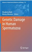 Genetic Damage in Human Spermatozoa