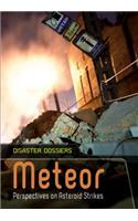 Meteor: Perspectives on Asteroid Strikes(Disaster Dossiers)