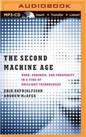 The Second Machine Age