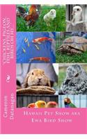 Chickens, Pigeon, Fish, Reptiles and Birds oh my...