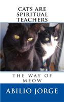 Cats Are Spiritual Teachers