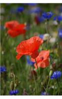 Red Poppies in a Meadow Flower Journal: 150 Page Lined Notebook/Diary