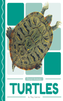 Turtles: (Pond Animals)