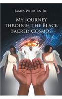 My Journey through the Black Sacred Cosmos