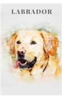 Labrador - Notebook: Labrador gifts for girls and women - Lined notebook/Journal/Composistion book