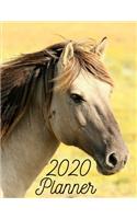 2020 Planner: Weekly Agenda And Organizer With 2020 Calendar - New Year And Christmas Gifts For Horse Riders