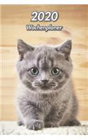 2020 Wochenplaner: British Shorthair Katzenwelpe - 107 Seiten, 15cm x 23cm ca. A5 - Taschenkalender - Terminplaner - Tagebuch - Terminkalender - Organizer für Katzenli