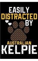 Easily Distracted by Australian Kelpie
