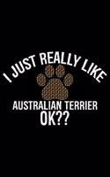 I Just Really Like Australian Terrier Ok?
